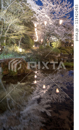 打吹公園の夜桜（倉吉市） 113421483