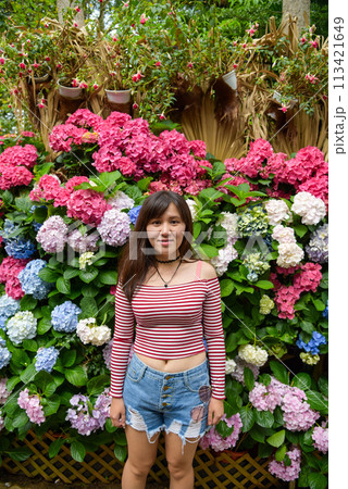 背景 バックグラウンド バックグランド 113421649