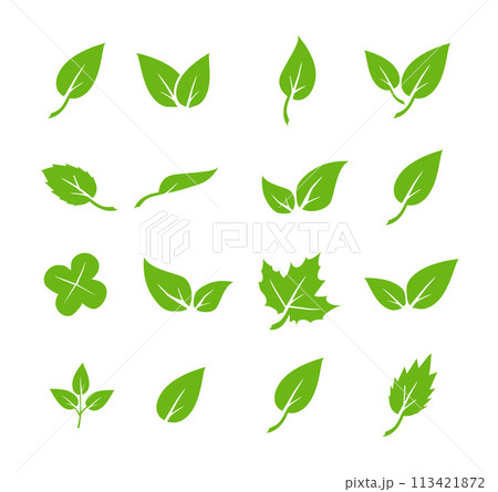 Green leaf icons set. Elements design for natural, eco, vegan. Leaves icon on isolated background. Collection green leaf. Vector 113421872