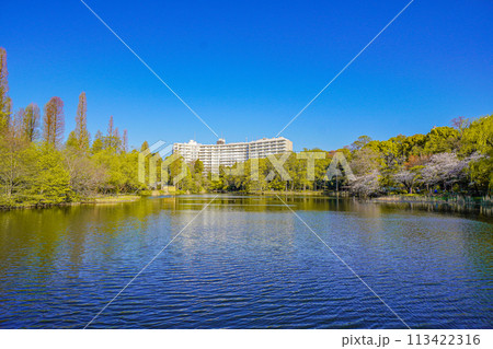 井の頭恩賜公園 113422316