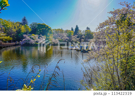 井の頭恩賜公園 井の頭恩賜公園 113422319