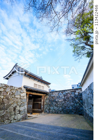 春の福岡城跡　福岡県福岡市 113422466