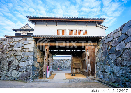 春の福岡城跡 福岡県福岡市 春の福岡城跡 福岡県福岡市 113422467