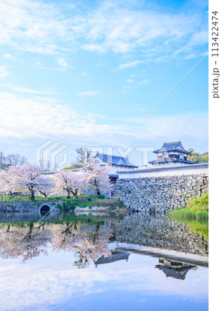 春の福岡城跡　福岡県福岡市 113422474