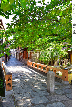 京都　東山　祇園　 113422484
