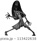 白黒の不気味な髪の長い女性の全身 113422638