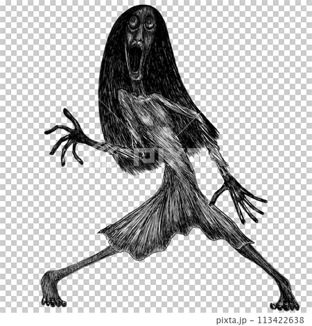白黒の不気味な髪の長い女性の全身 113422638