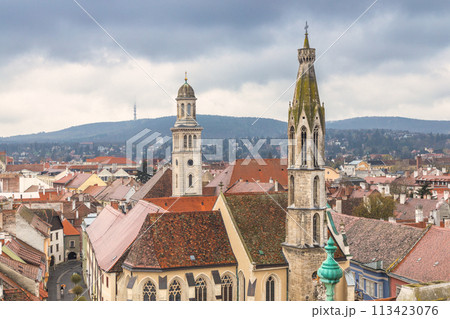 Sopron town, top view from the Firewatch Tower, Hungary. 113423076