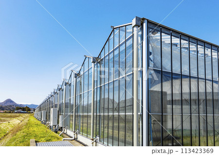 ガラスハウス　ビニールハウス 113423369