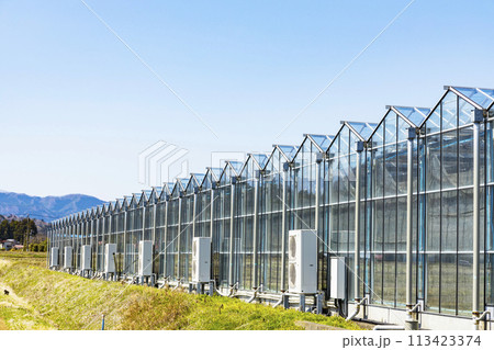 ガラスハウス　ビニールハウス 113423374