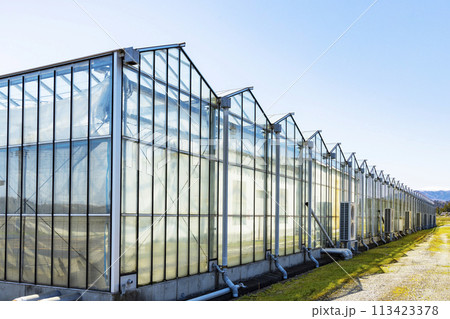 ガラスハウス ビニールハウス ガラスハウス ビニールハウス 113423378