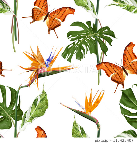Tropical summer seamless pattern with strelitzia flowers, exotic monstera leaves and orange butterfly. 113423407