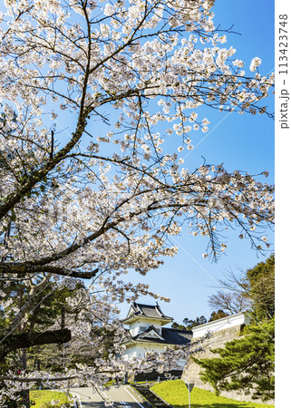 桜の青葉城址と伊達政宗騎馬像 113423748