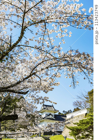 桜の青葉城址と伊達政宗騎馬像 113423749