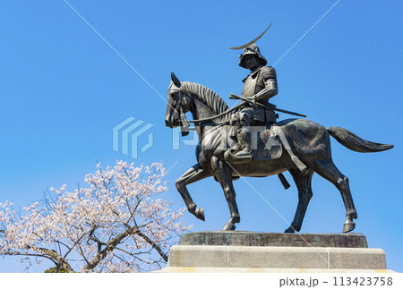 桜の青葉城址と伊達政宗騎馬像 113423758