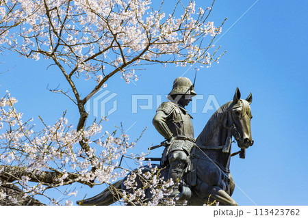 桜の青葉城址と伊達政宗騎馬像 113423762