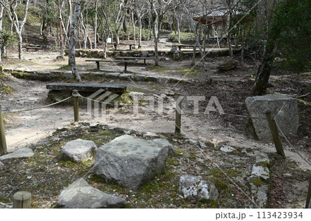 【兵庫県】 有馬温泉 瑞宝寺公園 【兵庫県】 有馬温泉 瑞宝寺公園 113423934
