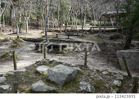 【兵庫県】 有馬温泉 瑞宝寺公園 【兵庫県】 有馬温泉 瑞宝寺公園 113423935