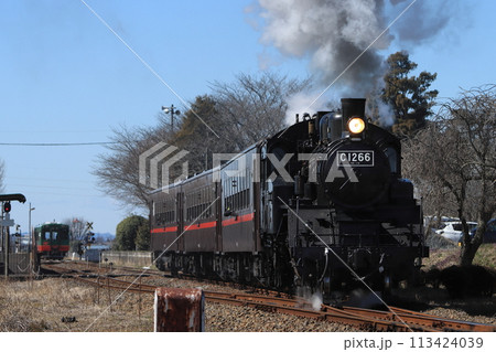 蒸気を力強く吐き出して駅を発車するSLもおか号(特別装飾)__2024/3/2撮影 113424039