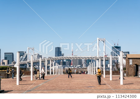 【東京都】お台場の都市風景 【東京都】お台場の都市風景 113424300