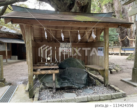 八坂神社 杉の大スギ(高知県 長岡郡 大豊町) 八坂神社 杉の大スギ(高知県 長岡郡 大豊町) 113424356