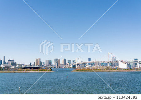 【東京都】お台場から見たレインボーブリッジと東京タワー 113424392