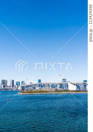 【東京都】お台場から見たレインボーブリッジと東京タワー 113424399