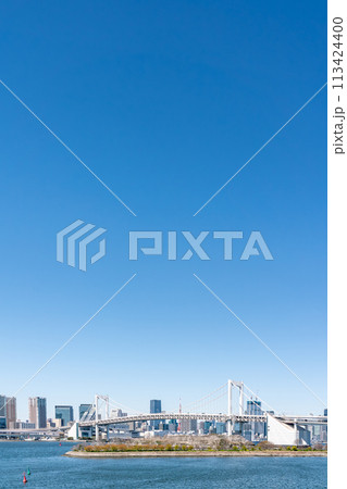 【東京都】お台場から見たレインボーブリッジと東京タワー 113424400