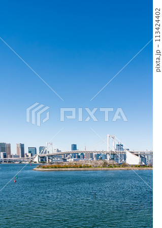 【東京都】お台場から見たレインボーブリッジと東京タワー 113424402