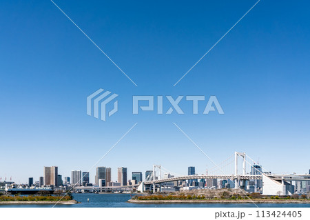 【東京都】お台場から見たレインボーブリッジと東京タワー 113424405