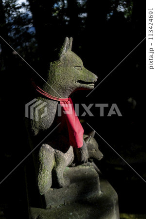赤い涎掛けが似合う狛狐・南池袋・威光稲荷 113424691
