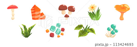 Forest Element and Outdoor Environment Object with Mushroom, Stone and Grass Vector Set 113424693