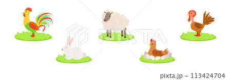 Farm Livestock and Domestic Yard Animal Vector Set 113424704