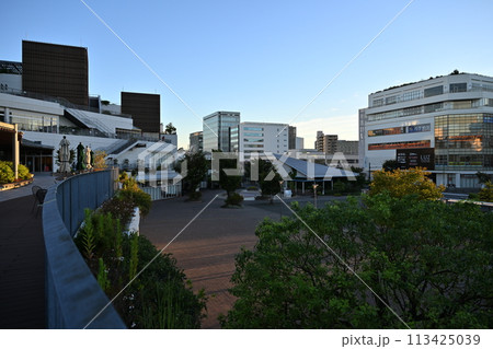 JR辻堂駅前のショッピングモール 113425039