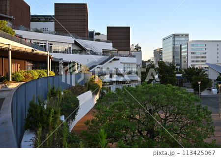 JR辻堂駅前のショッピングモール 113425067