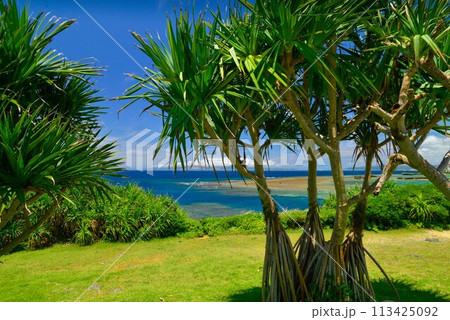 夏のビーチリゾートの風景 113425092