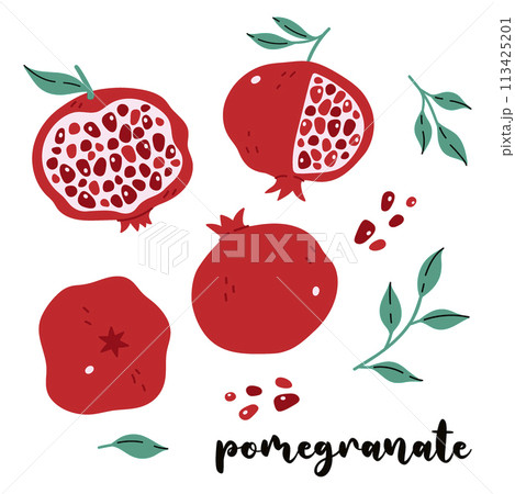 Set of pomegranate fruits and pieces isolate on a white background. Vector graphics. Set of pomegranate fruits and pieces isolate on a white background. Vector graphics. 113425201