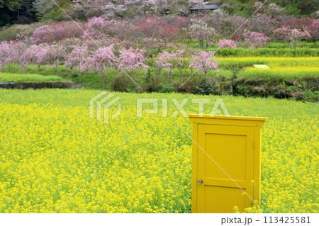 西川花公園　黄色のドア　（高知県　香南市） 113425581