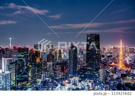 【東京都】都心の夜景　輝く東京タワーと東京スカイツリー 113425682