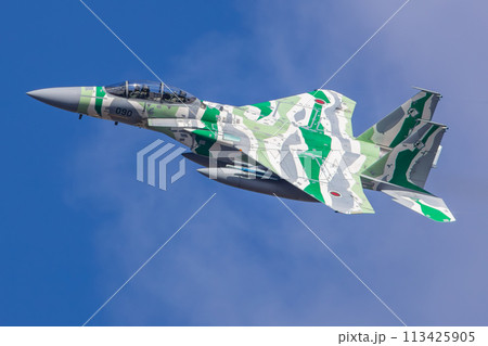 青空を飛行するF-15戦闘機（アグレッサー） 113425905