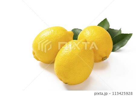 白バックのレモン 113425928