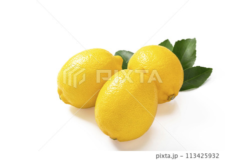 白バックのレモン 113425932