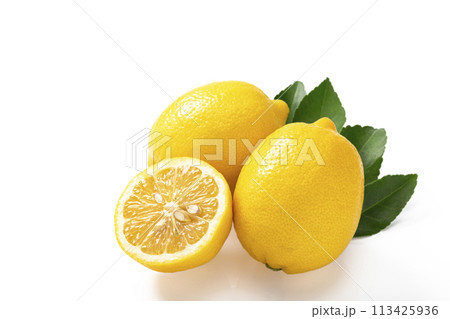 白バックのレモン 白バックのレモン 113425936