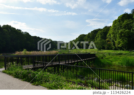 藤沢市の遠藤笹窪谷公園 113426224