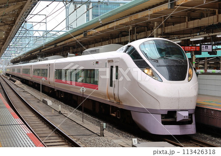 特急列車E657系ひたち 東京駅 東京都千代田区丸の内一丁目 特急列車E657系ひたち 東京駅 東京都千代田区丸の内一丁目 113426318