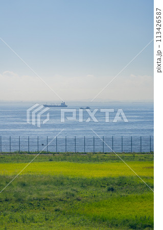 空港 飛行機 羽田空港 エンジン 午前 明るい 管制塔 ターミナル D滑走路 空港 飛行機 羽田空港 エンジン 午前 明るい 管制塔 ターミナル D滑走路 113426587