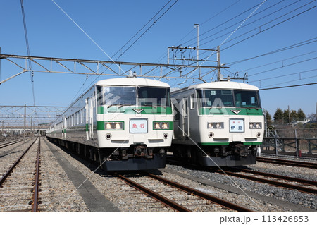 JR東日本　185系電車 113426853