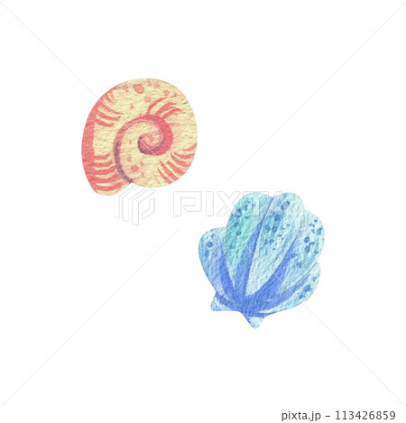 Seashells in coral, turquoise and blue colors. Hand drawn watercolor illustration. Underwater world, sea clipart for decoration and design. Set of elements isolated from background. 113426859