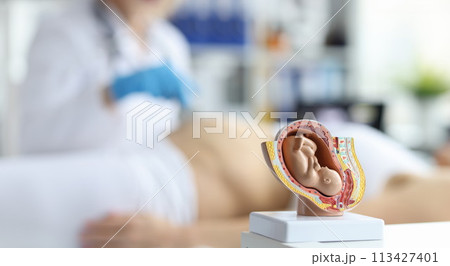 Ultrasound test and ultrasound of baby fetus during pregnancy Ultrasound test and ultrasound of baby fetus during pregnancy 113427401