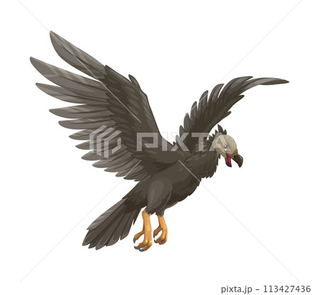 Cartoon argentavis character. Isolated vector...のイラスト素材 [113427436] - PIXTA